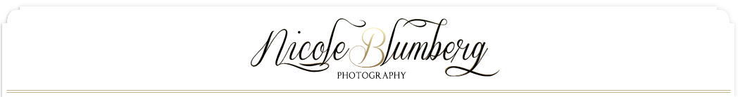 Beauty and Boudoir by Nicole Blumberg Photography logo